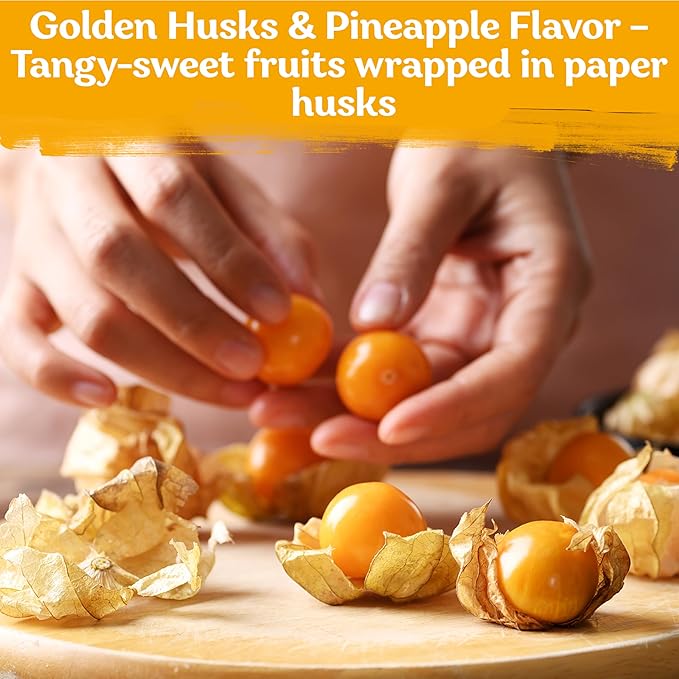 KVITER 650 Aunt Molly Ground Cherry Seeds for Planting (Physalis pruinosa) – Non GMO & Heirloom Pineapple Ground Husk Cherry Tomatoes, Organic Fruit Seeds – Tropical Flavor Berries