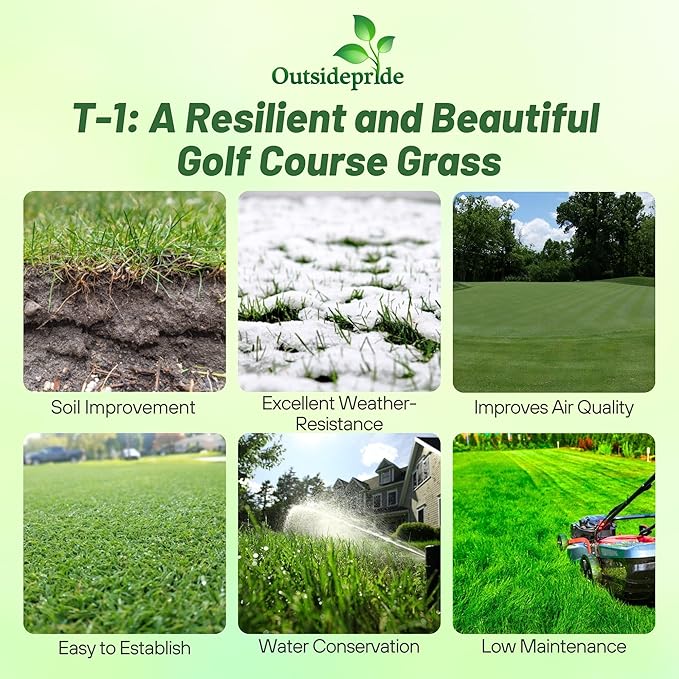 Outsidepride T-1 Creeping Bentgrass Seed - 5 lbs Fine-Bladed, Premium Quality Turf, Grass Seed for Smooth Surface, & High-Traffic Areas, Ideal Grass for Golf Courses Putting Greens, & Fairways