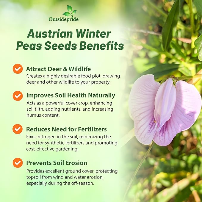 Outsidepride Austrian Winter Peas Seeds for Planting – 10 lbs Bag (Cool-Season Cover Crop, High-Protein Deer Food Plot Seed) Field Peas, Cover Crop Seeds, Spring Mix for Soil Health & Forage