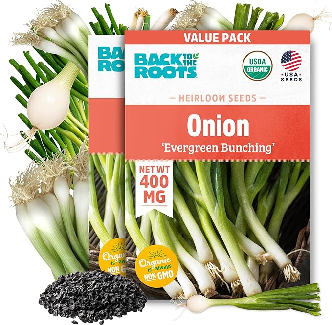Back to The Roots 100% Organic Heirloom Seeds - Green Onion Value Pack (400mg Total)