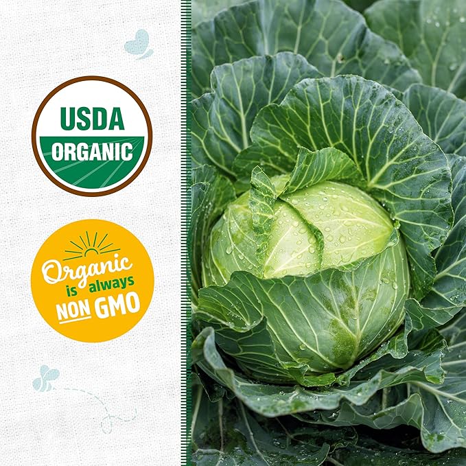 Back to The Roots 100% Organic Heirloom Seeds - Cabbage Value Pack (280mg Total)
