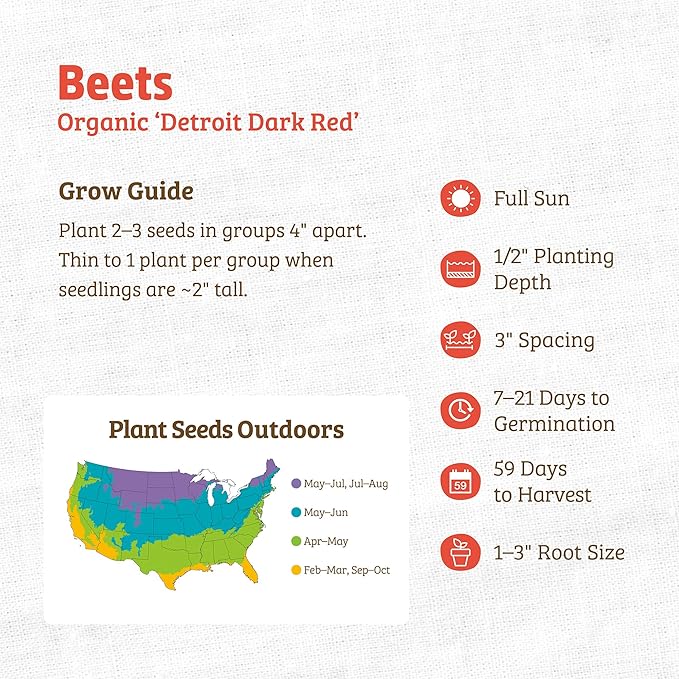 Back to The Roots 100% Organic Heirloom Seeds - Beets Value Pack 1g