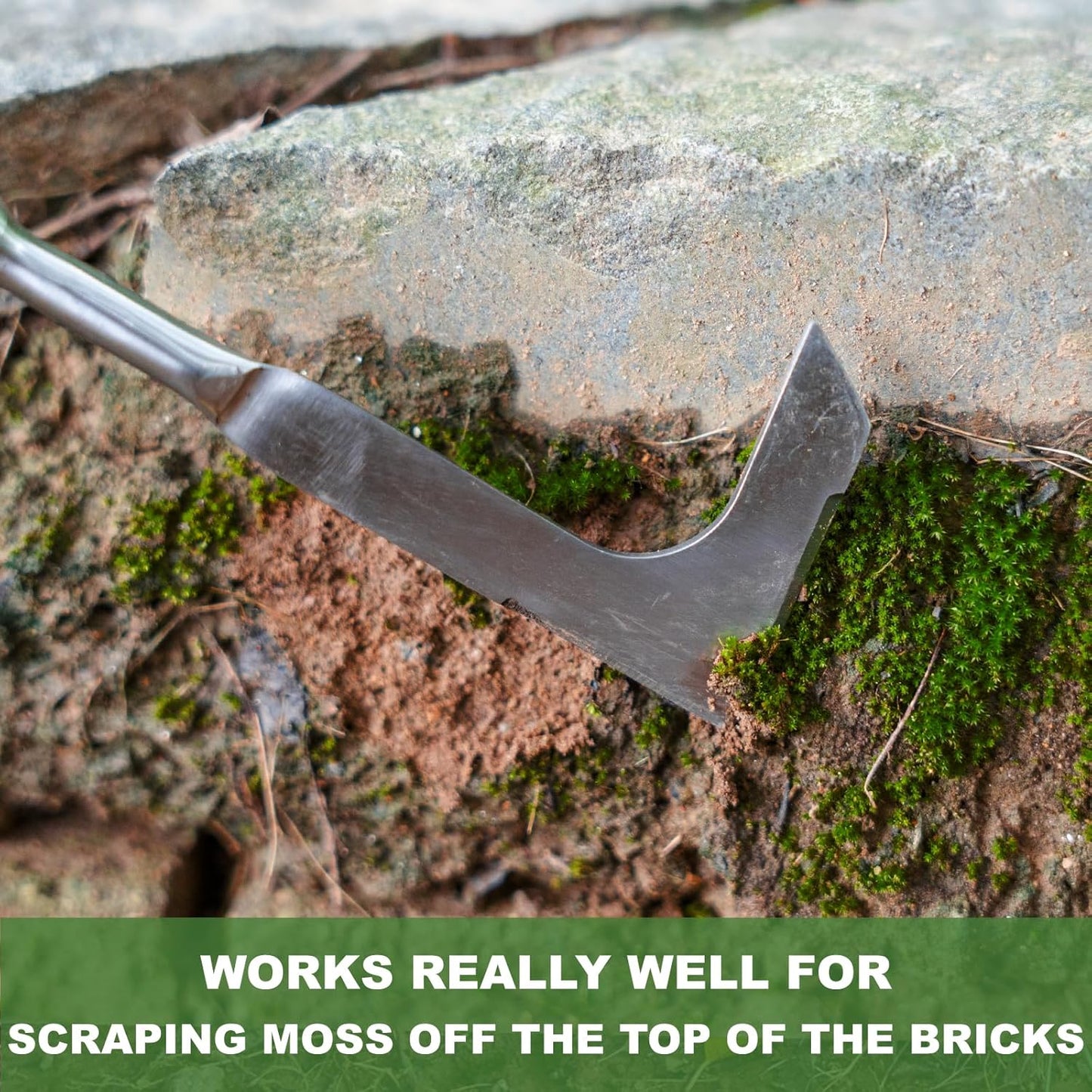 Haliaeetus Long Handle Crack Weeder, 62'' L-Shaped Stainless Steel Crevice Weeding Tool, Comfortable Wood Handle Paver Weeder, Sidewalk Weed Removal Tool for Driveway, Bricked Patio, Terrace Paving