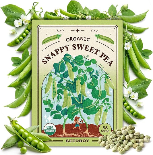 Seedboy Organic Sugar Snap Pea Seeds for Planting Indoor and Outdoor, Non-GMO and USDA Certified Vegetable Seed Packet for Hydroponic Garden Indoor or Planting Outdoors (Sugar Snap Peas)