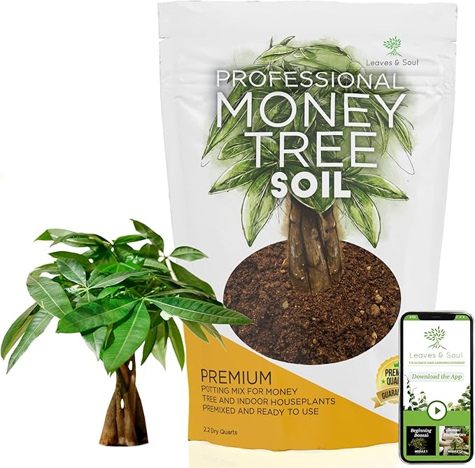 Professional Money Tree Soil | Large 2.2 Quarts Ready to Use for Money Tree Plants | Peat Moss, Coco Coir, Perlite, Dolomite | Made in USA