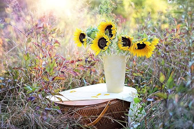 Set of 500 Flower Seed Packets - Flower Seeds in Bulk - 15 or More Varieties Available - Great for Creating Colorful Gardens (500)