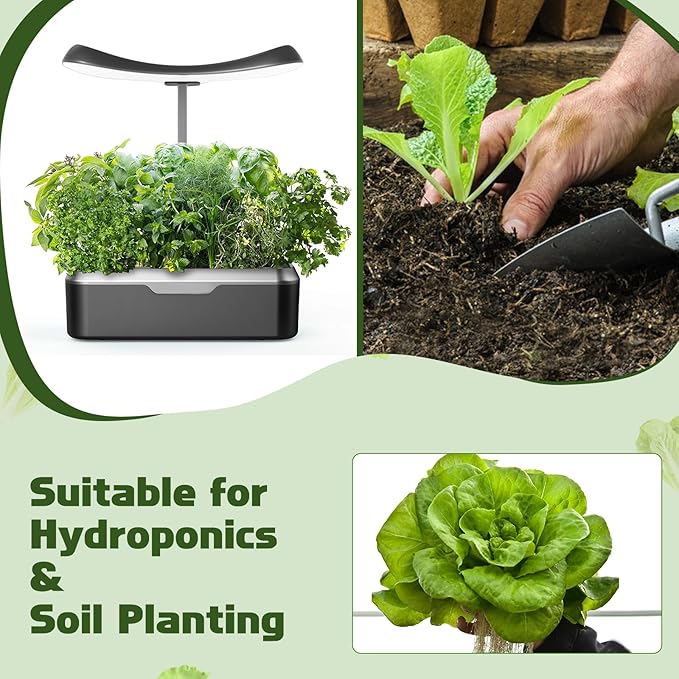 Salad Greens Seed Pod Kit, Grow Anything Kit for All Hydroponics Growing System, 14 Pods with 600+ Seeds of Red&Green Leaf/Romaine/Butter Head/Black Seeded Simpson/Red Sail and Marvel of 4 Seasons