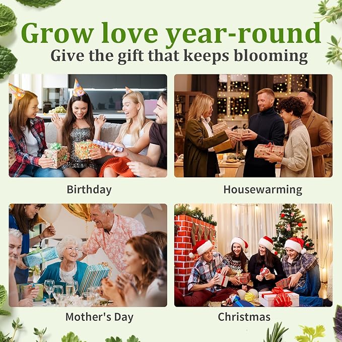 10-Set Indoor Herb Garden Starter Kit, 7 Seeds Growing into Basil, Parsley, Thyme, Mint, Cilantro, Dill, Oregano Including 10 White Pots, Markers, Nutritional Soil, Ideal Christmas Gifts for Women