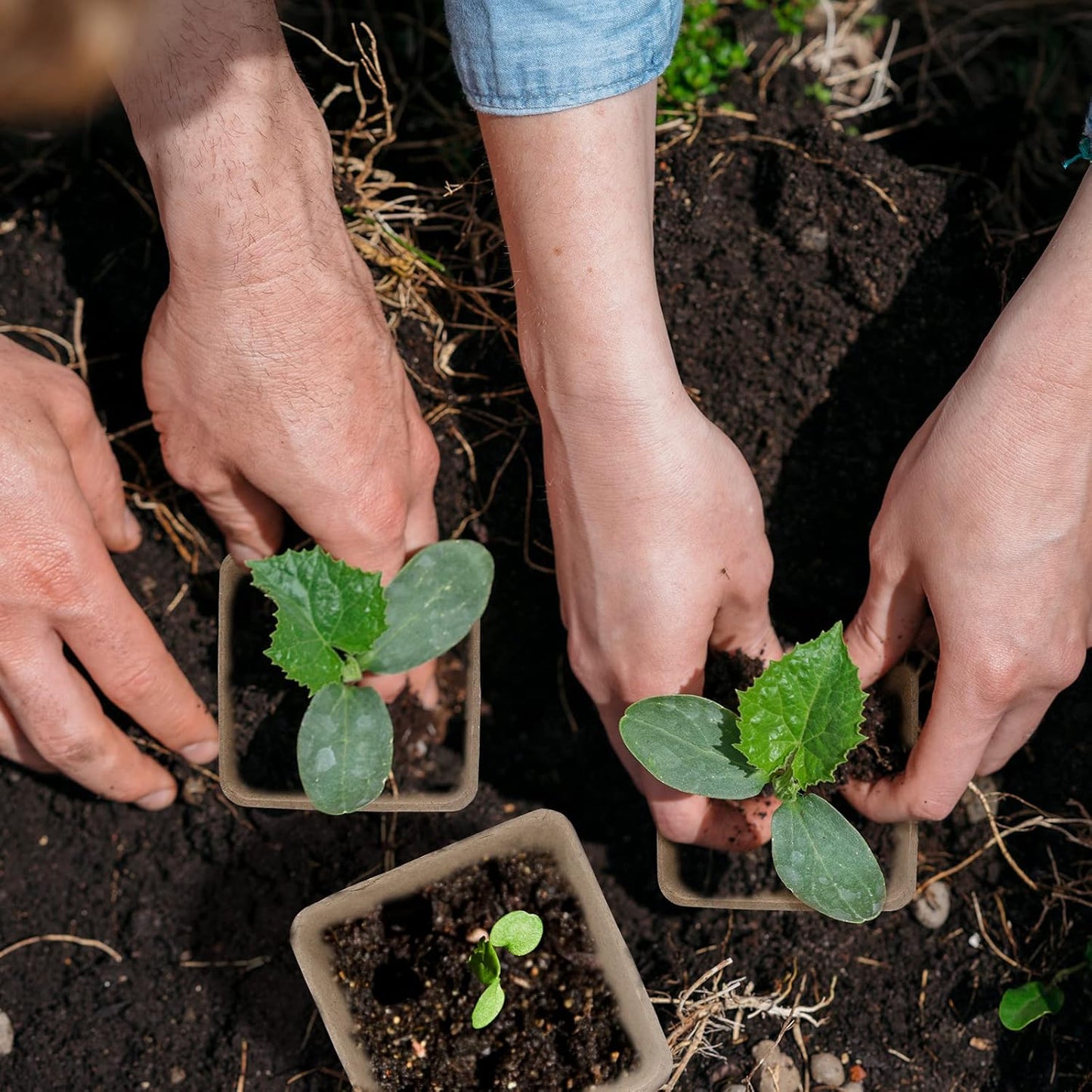 3T GROUP 120 Pack 3.15 Inch Square Small Plant Pots,Disposable Flower Pots,Mini Compostable Pot for Plant,Biodegradable Seed Planting Peat Seedling Pot Cups with 100 Labels,Tool,Pen