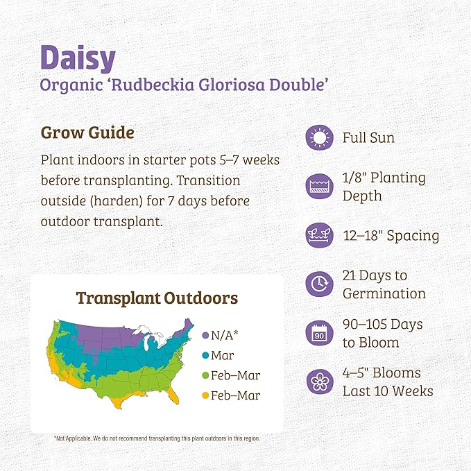 Back to The Roots 100% Organic Heirloom Seeds - Daisy Flower Value Pack (600mg Total)