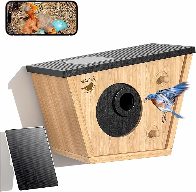 Smart Bird House with Camera, 2K HD Live View Birdhouse Camera with AI Recognition & Solar Powered, Perfect Viewing Bird Nesting and Hatching, Gift for Bird Lovers
