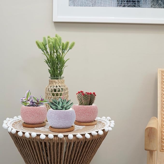 3 inch Ceramic pots for Plants, Small Succulent Pots Set with Drainage, 6 Pack Flower Pot for Indoor Plant, Planters for Little or mini Cactus 2 inches Plants (Pink/Purple)