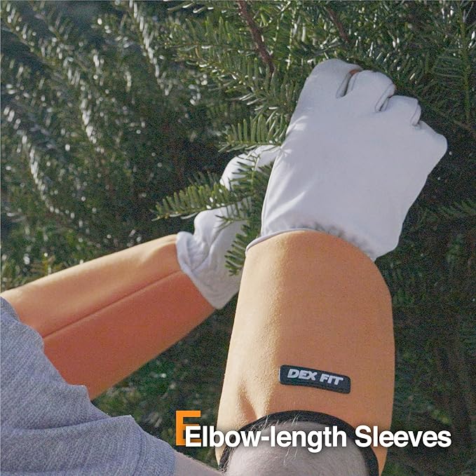 DEX FIT FG310 Gardening Gloves for Women & Men, Long Thorn Proof Leather Sleeves Protection, Comfortable, Durable for Cactus, Rose Bush Pruning and Garden and Yard Work; Orange M (8) 1 Pair