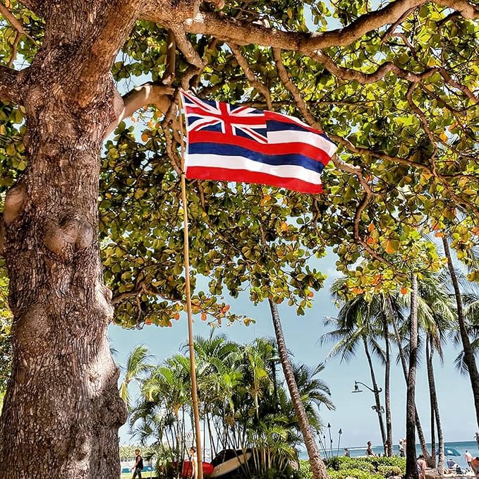 XIFAN Premium Hawaii State Flag 3x5 ft Outdoor, Double Sided Heavy Duty 210D Nylon HI Flags, the Strongest Longest Lasting for Outside with Sewn Stripes/Brass Grommets