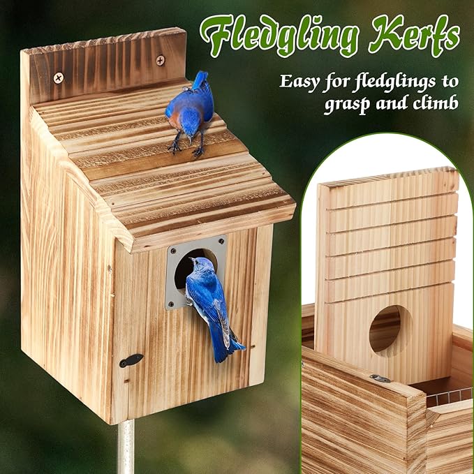 Dreyoo 1 Pack Cedar Bluebird Box Houses for Outside, 1-1/2” Entrance Hole Wooden Bird Houses with Metal Predator Guard, Secure Latch, Fledgling Grooves, Air Vents for Bluebird Wren Swallow Finch