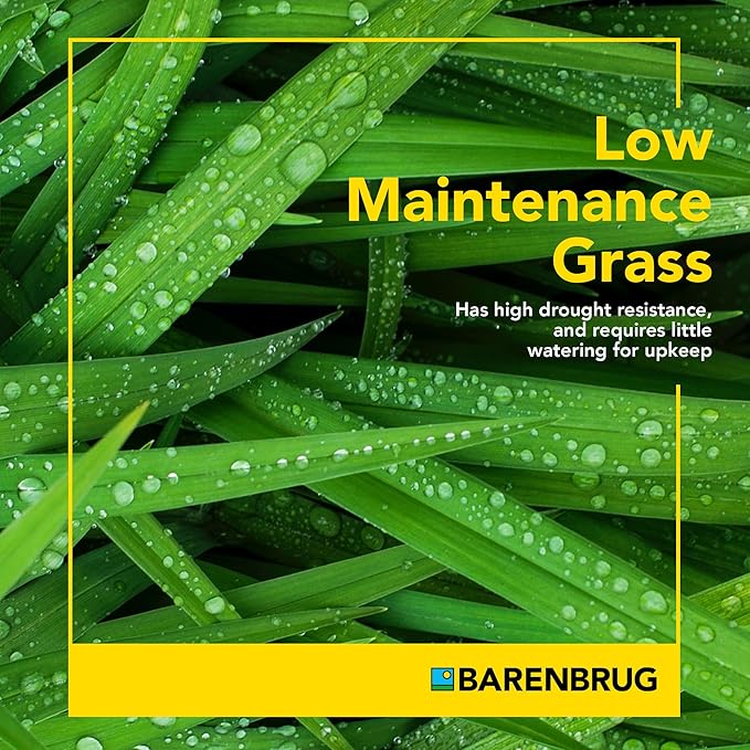 Barenbrug Wonderlawn Perennial Ryegrass Grass Seed for Southern Lawns, Fast-Acting Durable Grass Seed Mix for All Weather Conditions, 3-lb. Bag