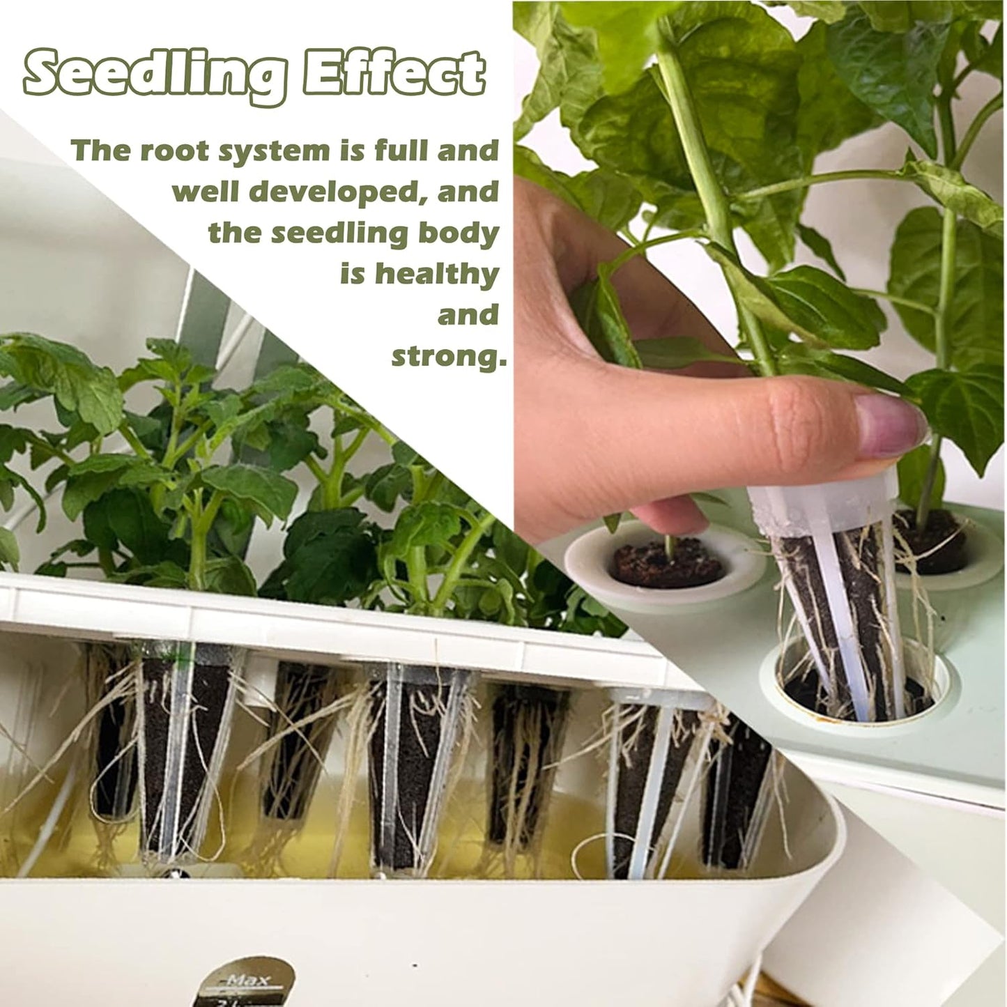 100 PCS Hydroponic Growing Kit Plant Seed Starter Pods Kit Replacement Grow Sponges Seed Suitable for Mushroom Grow Kit