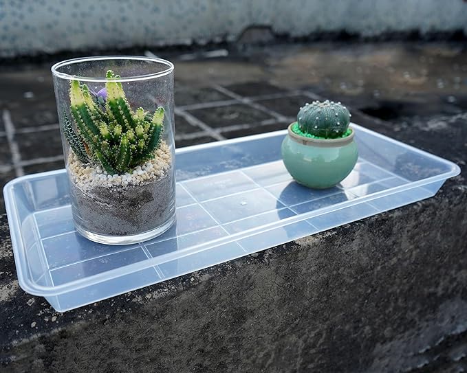 Plastic Plant Trays - 6 Pack Rectangular, Long Narrow Indoors Outdoor Plant Water Drip Trays for Flower Pot Planter, Windowsill (11 x 6 Inch, Clear)