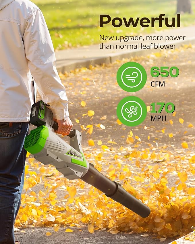 Leaf Blower Cordless 650CFM/170MPH with 2×4000mAh Batteries and Charger, PATOOLIO 5 Speed Mode Cordless Blower Handheld for Patio, Lawn Care, Snow Blowing, Leaves Blowing