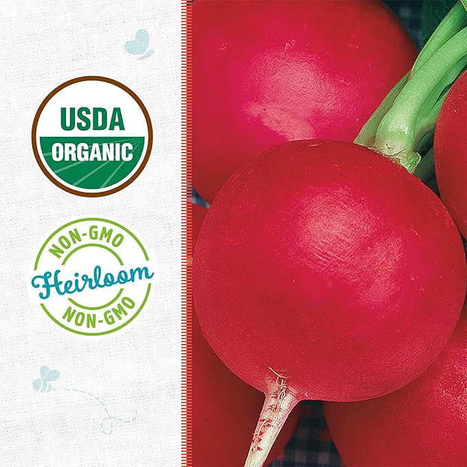 Back to The Roots 100% Organic Heirloom Seeds - 'Stuttgart Red Giant' Radish Value Pack (2.8g Total)