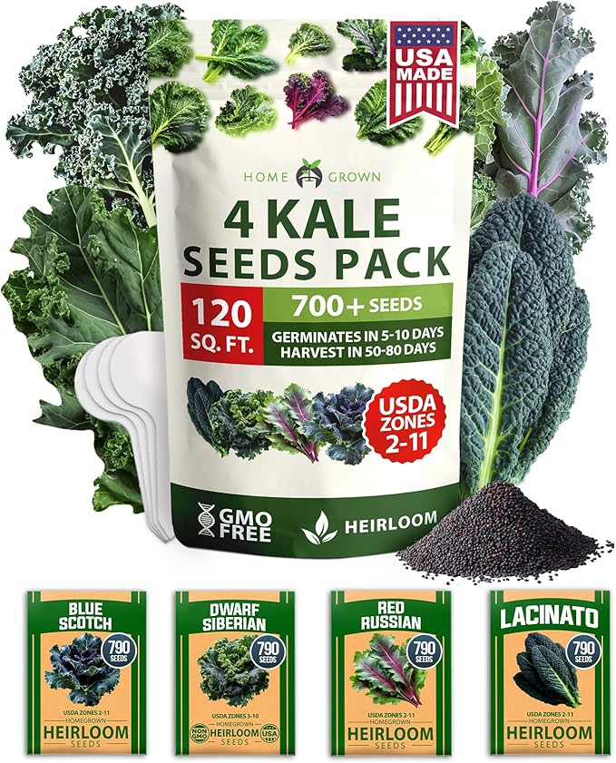 HOME GROWN π¨π¦π π£π₯ππ ππ¨π  Heirloom Vegetable Seeds π‘π’π‘-ππ π’ Vegetable Seeds for Planting Home Garden, Beans, Carrots, Peppers, Cucumber, Kale, Pepper Seeds, Tomato (4 Kale)