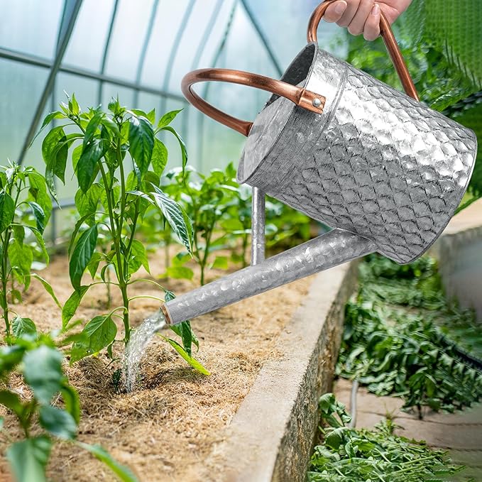 1 Gallon Metal Watering Can for Outdoor Indoor Plants, Galvanized Watering Can with Removable Spray Spout, Ideal for Garden Watering