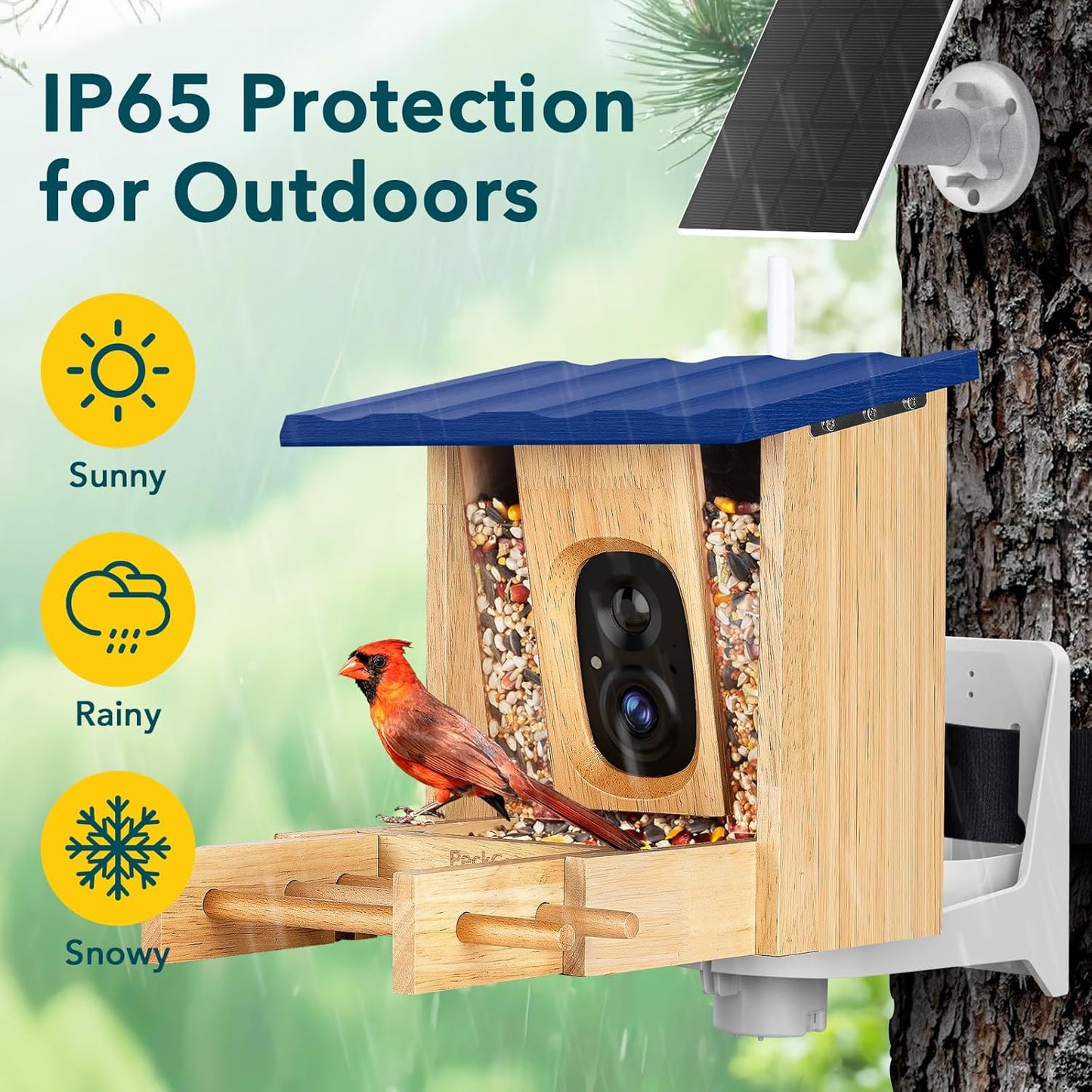 PeckCam® Bird Feeder with Camera - 4MP 2K Live AI Bird Species Identification Instant Arrival Alerts - Smart Cameras Birds Feeders Solar Powered Birdwatching Gift for Birdlover Mom Dad, 2.4GHz WiFi