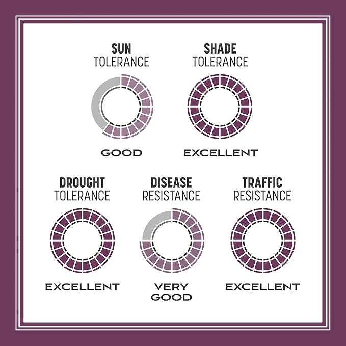 Pennington The Rebels Tall Fescue Shady Grass Seed Mix 7 lb