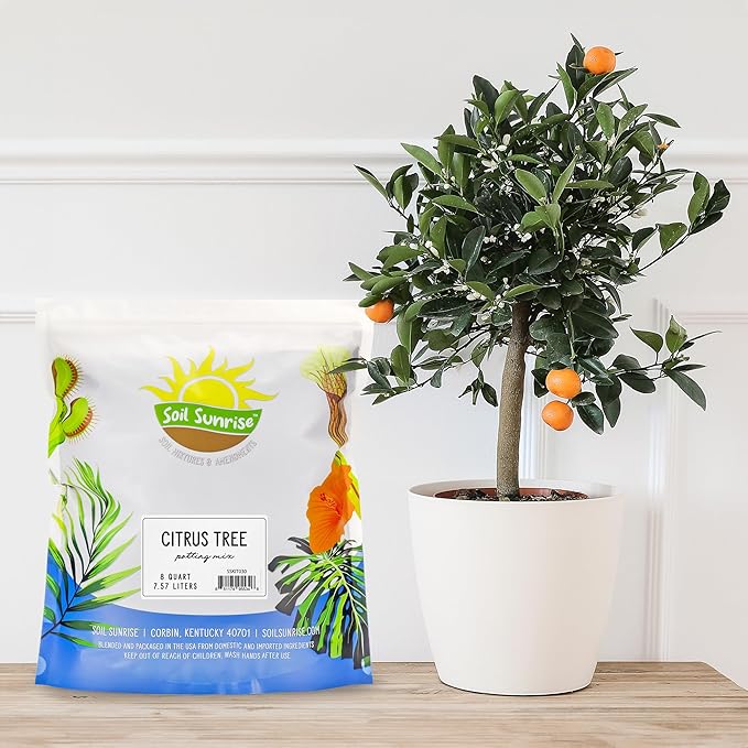 Citrus Tree Potting Soil Mix (8 Quarts), Special Blend for Indoor Oranges, Lemons, Limes and More