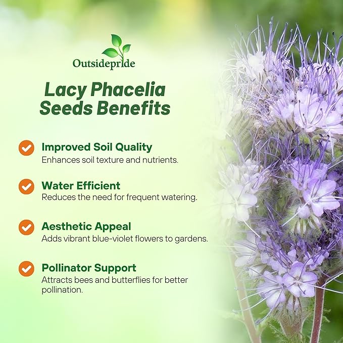 Outsidepride Lacy Phacelia Seeds for Planting - 5 Lbs. Annual, Drought-Tolerant Wildflower Seeds with Light Violet Flowers, Ideal for Pollinator Gardens, Erosion Control, & Attracts Bees & Butterflies