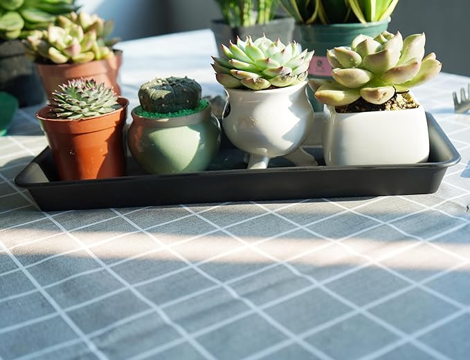 2 Pack of Plastic Plant Tray Saucer Rectangular 20 21 inch, Planter Trays Saucers for Indoors Outdoor, Plant Water Drip Tray for Flower Pot Planter, Windowsill Trays (8.5 X 21'', Black)