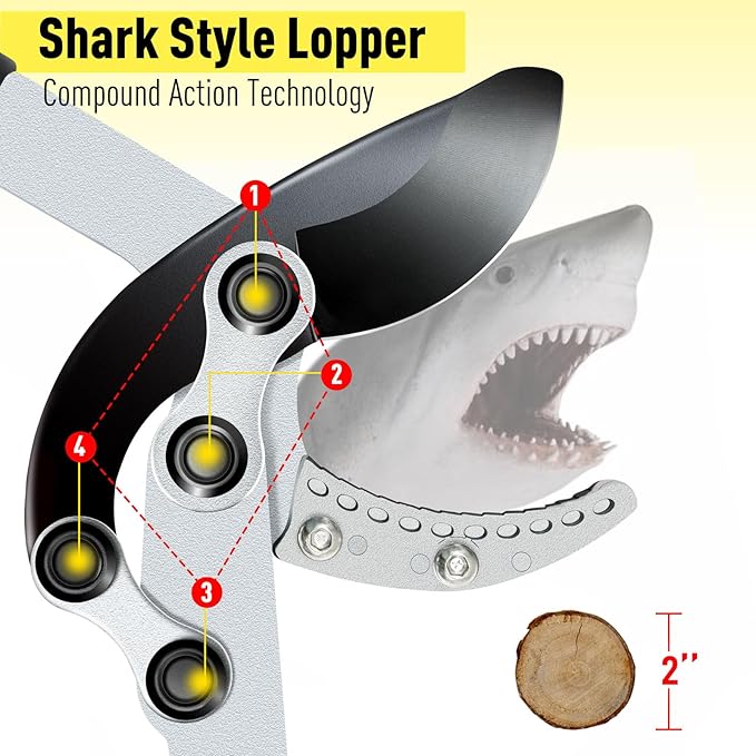 JARDINEER 3PCS Extendable Anvil Loppers for Tree Trimming Heavy Duty, 28-38.5" Branch Cutter with 2 Inch Cutting Capacity, Include Garden Tree Loppers, Pruning Shear and SK5 Spare Blade