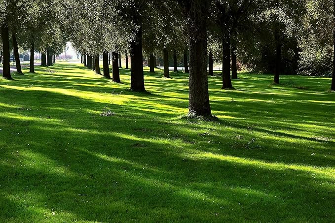 Lesco Sun & Shade Park Grass Seed - 10 lbs.