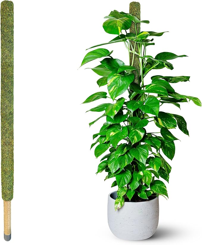 DUSPRO 59ββ Large Green Mesh Moss Pole Monstera Plant Support, Tall Plant Stakes, Moss Pole for Plants Monstera, Garden Pole, Moisture Stick for Plants (1pc., 59''), Natural