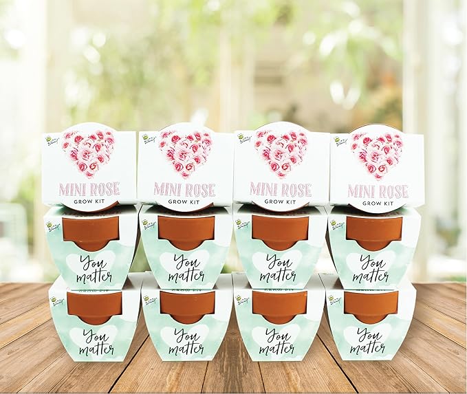 BUZZY Seeds Love Collection Mini Rose Terracotta Grow Pots, 12-Pack Gardening Kit Ideal for Wedding Favors, Baby Shower Prizes, Valentine’s