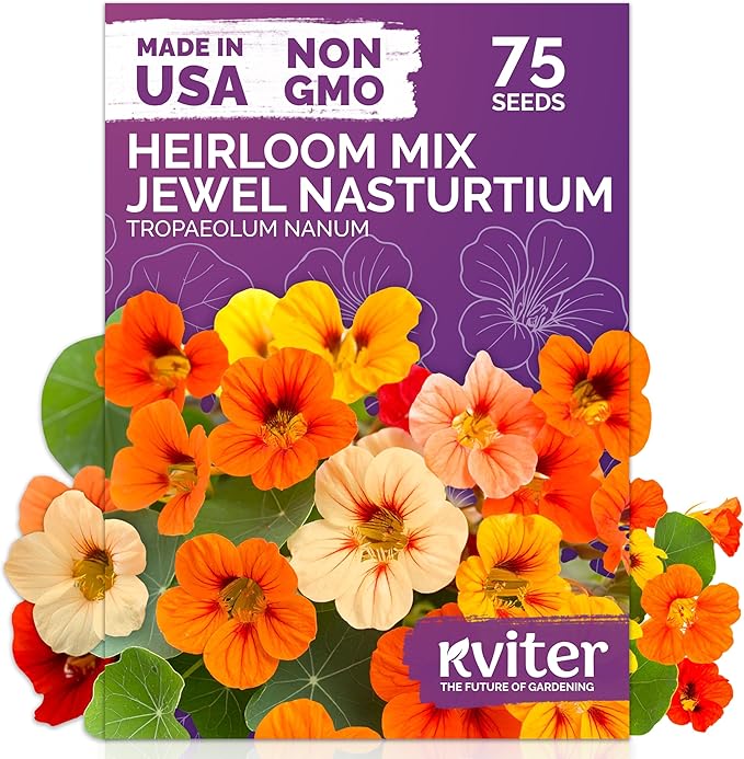 KVITER 75 Mix Jewel Nasturtium Seeds for Planting Outdoors (Tropaeolum Nanum) — Heirloom & Organic Seed Packet — Edible Flower Seeds to Plant Outside & Inside in Garden, Containers, Hanging Baskets