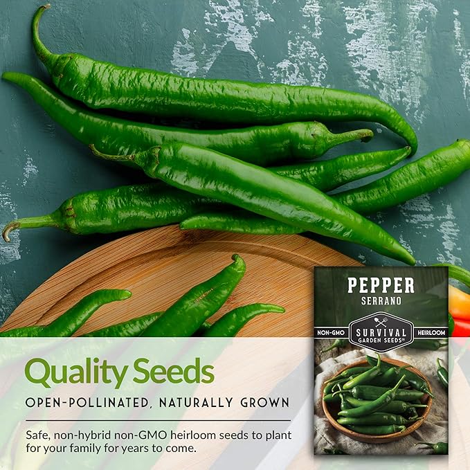 Mexican Serrano Pepper Seeds for Planting | Fresh Hot Chili & Green Hot Pepper Seeds – Hot Heirloom Non‑GMO Variety for Sauce, Pickling & Salsa – Survival Garden Seeds (1 Pack)