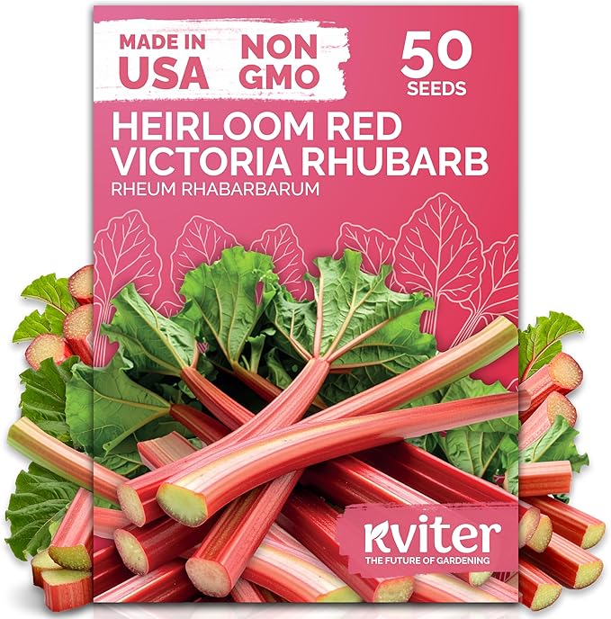 KVITER 50 Red Victoria Rhubarb Seeds for Planting (Rheum Rhabarbarum) – Organic & Heirloom Seeds, Perennial Vegetable Seeds – Perfect for Rhubarb Jam & Pies, Grow in Beds & Outdoor Garden