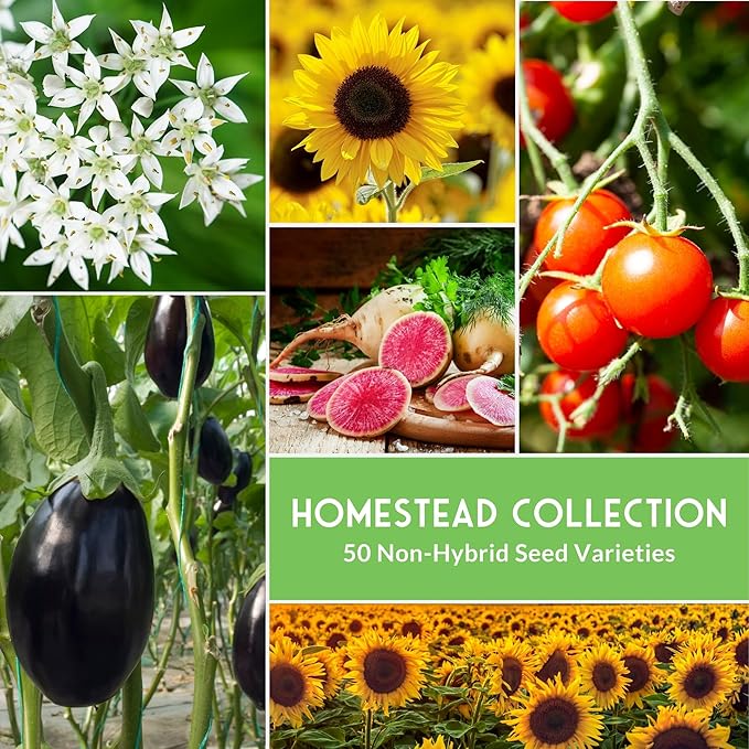 Survival Garden Seeds Homesteader Collection – 50 Heirloom Packets of Vegetables, Herbs, and Flowers for Victory Garden Planting and Emergency Storage