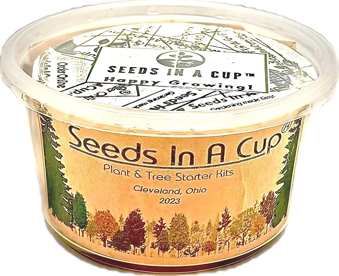 Ash Tree Seed Starter Kits from Seeds In A Cup | Educational | Great Gift Idea | Plant It for The Planet | Grow Your Own Trees | Plastic Planter