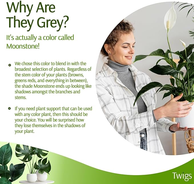 Plant Support Stakes, Stem Holder Structures for Indoor & Outdoor Use, Garden Accessories for Climbing & Potted Plants, Trellis Alternative - Moonstone, 10 Pack, 22" L, Original