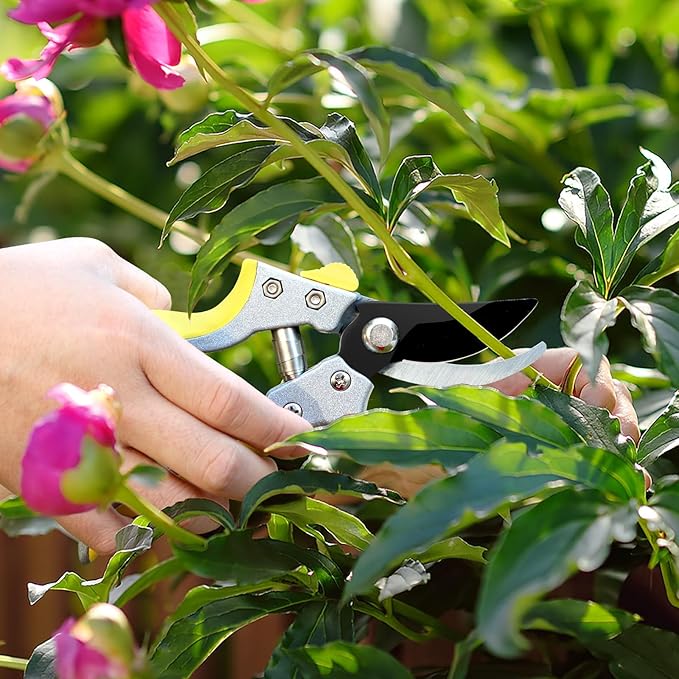 JARDINEER 3PCS Extendable Anvil Loppers for Tree Trimming Heavy Duty, 28-38.5" Branch Cutter with 2 Inch Cutting Capacity, Include Garden Tree Loppers, Pruning Shear and SK5 Spare Blade