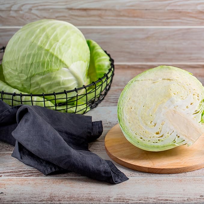 Back to The Roots 100% Organic Heirloom Seeds - Cabbage Value Pack (280mg Total)