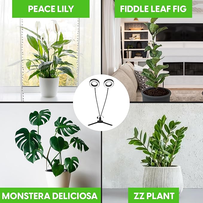 OSANI 24" Gooseneck Long Arm Grow Light, 48" Wide Coverage, 6000K Full Spectrum LED Grow Lights for Indoor Plants with Red Blue LEDs, 10-Level Dimmable, Auto Timer, USB & Adapter, Grow Lights Indoor