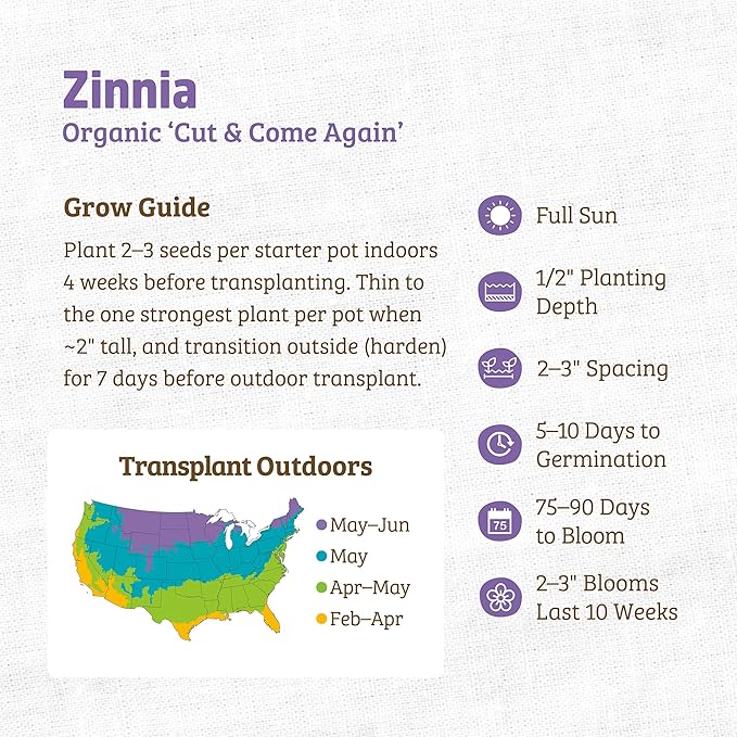 Back to The Roots 100% Organic Heirloom Seeds - Zinnia Pumila Mix Flowers Value Pack (420mg Total)