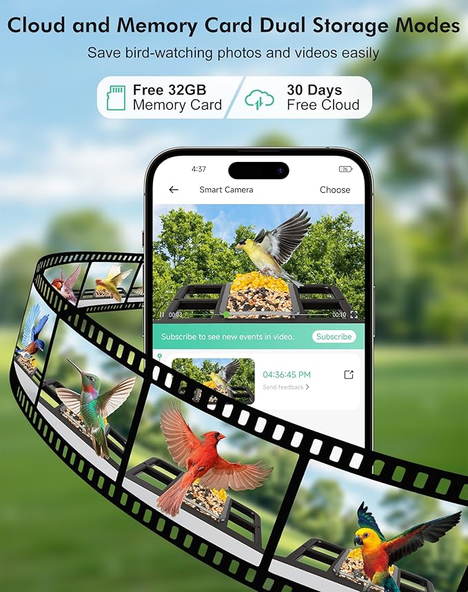 Smart Bird Feeder with Camera,5200mAh Battery with Solar Panel, 4K Native Resolution Live View, AI Species Identification, Auto Capture & Instant Arrival Alert, Ideal Gift for Bird Lovers (Dark Grey)