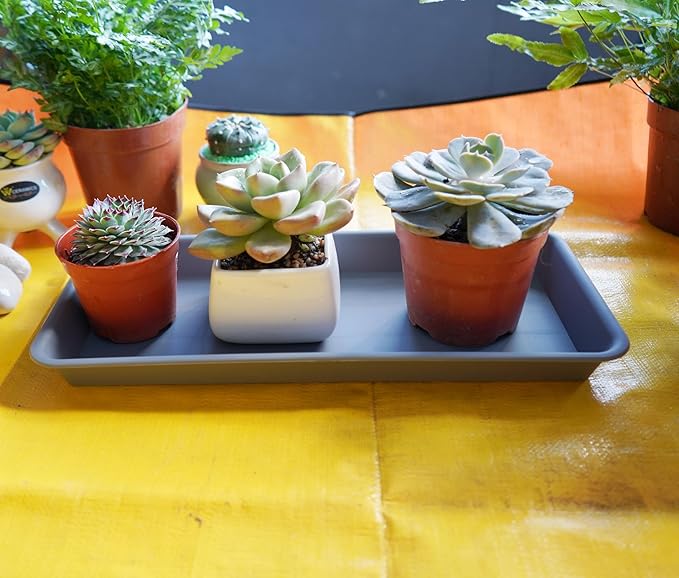 2 Pack of Plastic Plant Tray Saucer Rectangular 30 inch, Planter Trays Saucers for Indoors Outdoor, Plant Water Drip Tray for Flower Pot Planter, Windowsill Pots Trays (8 X 30'', Gray)