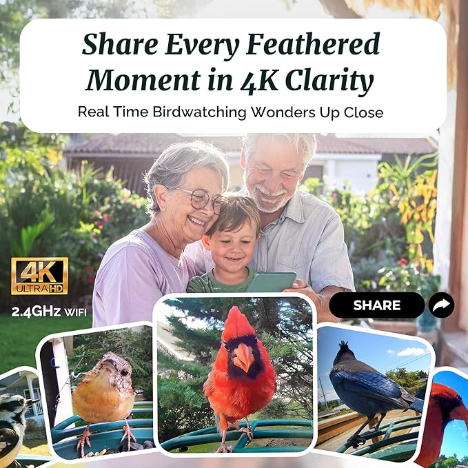 Beako™ Smart Bird Feeder with 4K Camera 4.4W Solar Roof for Outdoors - Ultra HD Live Stream & Photos, 10,000+ Bird Species AI-Identified, Real-Time Motion Detection, Easy Setup, Refill & Clean