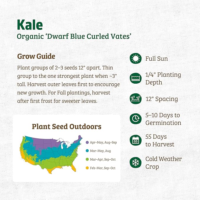 Back to The Roots 100% Organic Heirloom Seeds - Kale Value Pack (840mg Total)