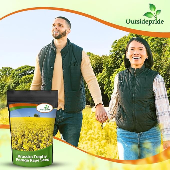Outsidepride Trophy Forage Rape Seed - 10 Lbs Heat, Cold & Drought-Tolerant Brassica Food Plot Seed, Ideal for for Deer & Livestock Grazing, Fall Planting, Soil Improvement, & Erosion Control